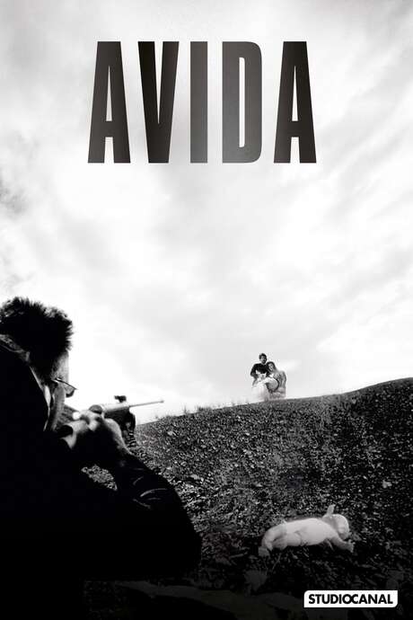 Avida affiche